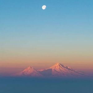 Meet your Posher, Ari